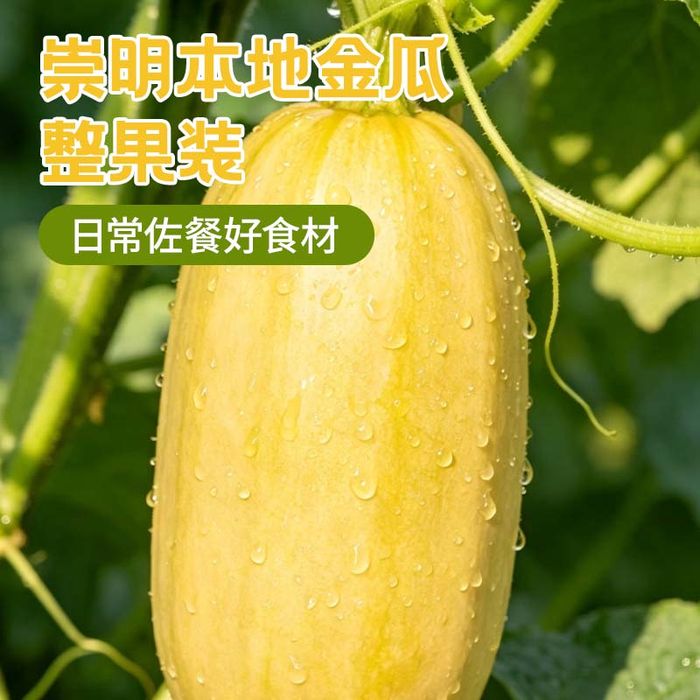 崇明金瓜整果详情图