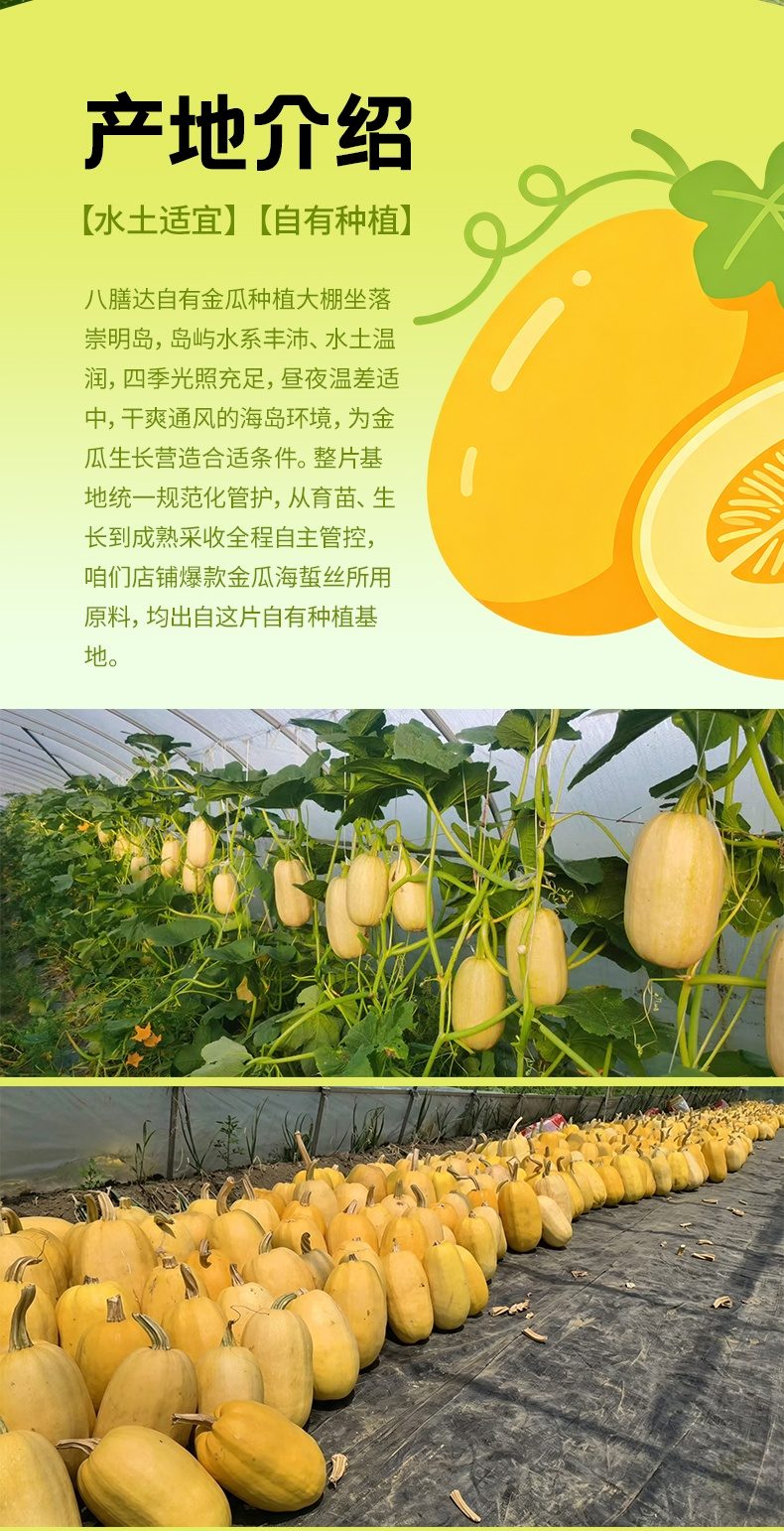 八膳达即食金瓜丝主图